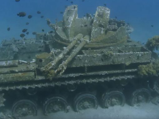 Artificial reefs in the gulf of Aqaba